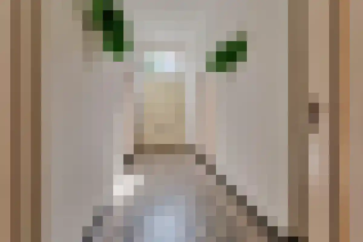 Voorstraat 12 Wissenkerke thumbnail 21