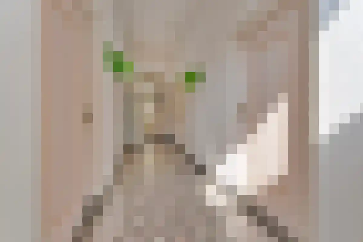 Voorstraat 12 Wissenkerke thumbnail 7