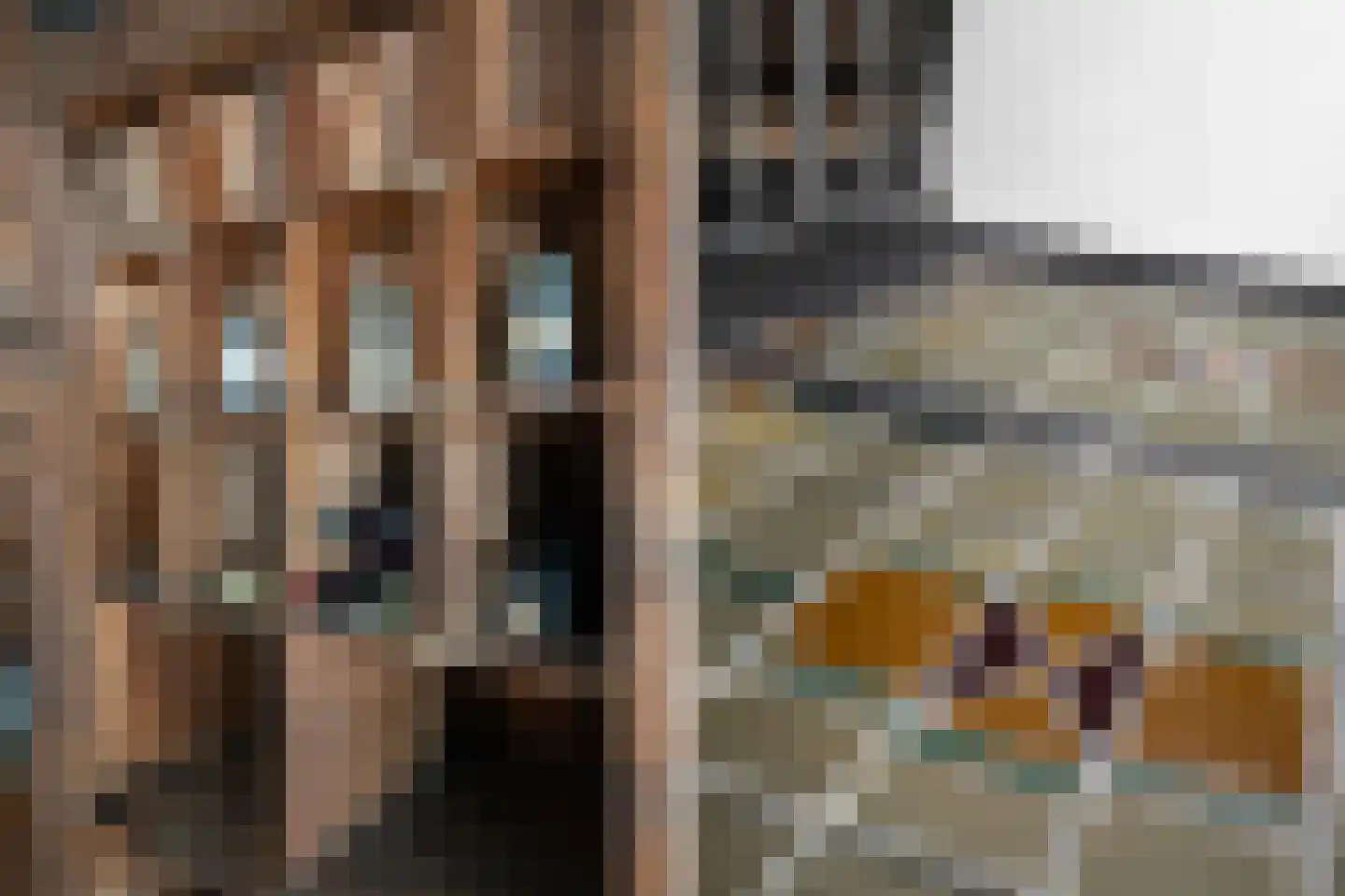 Voorstraat 121 Dordrecht thumbnail 25