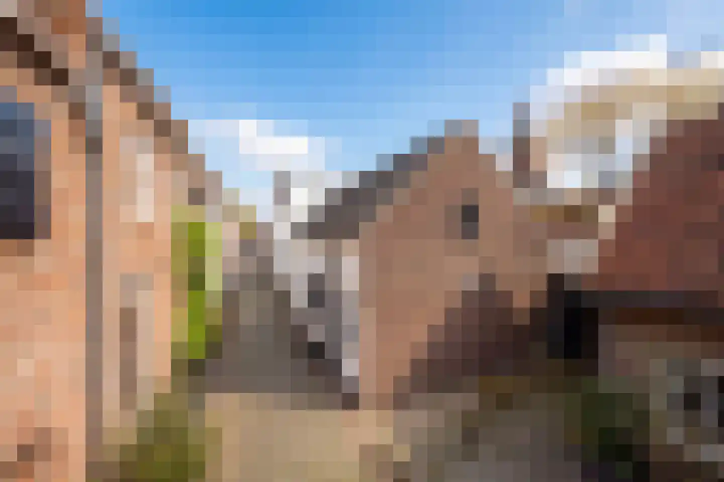 Voorstraat 13 Buren thumbnail 11