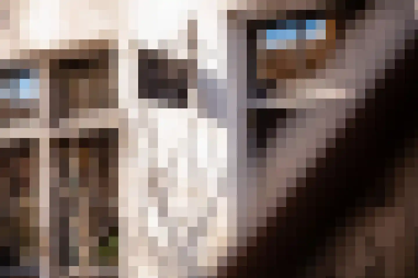 Voorstraat 13 Buren thumbnail 12