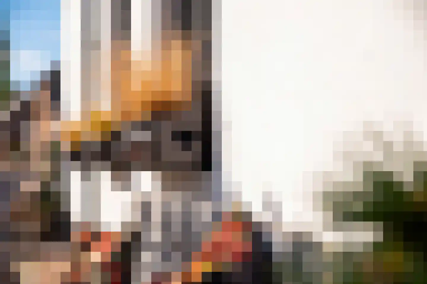 Voorstraat 13 Buren thumbnail 22