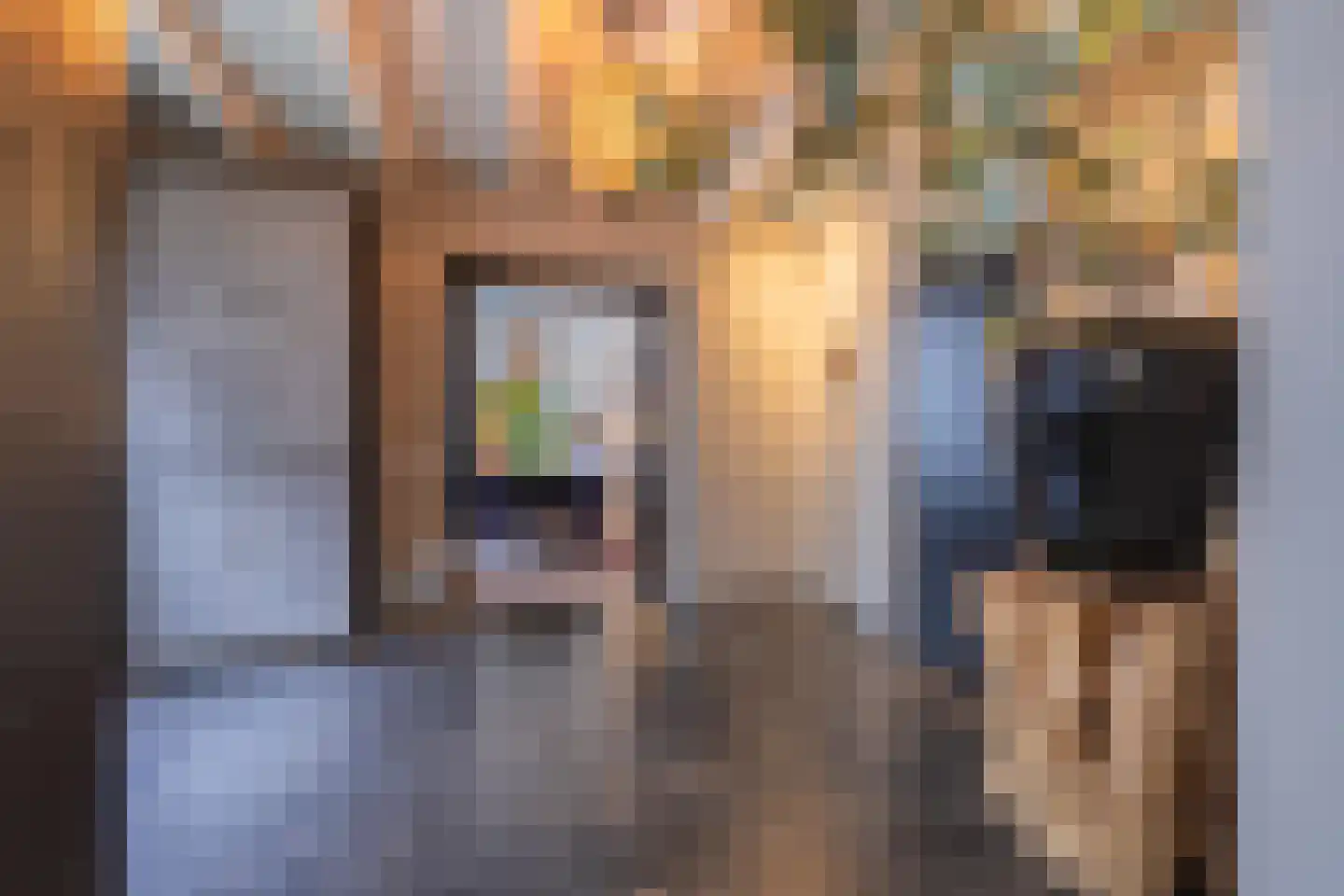 Voorstraat 13 Buren thumbnail 24