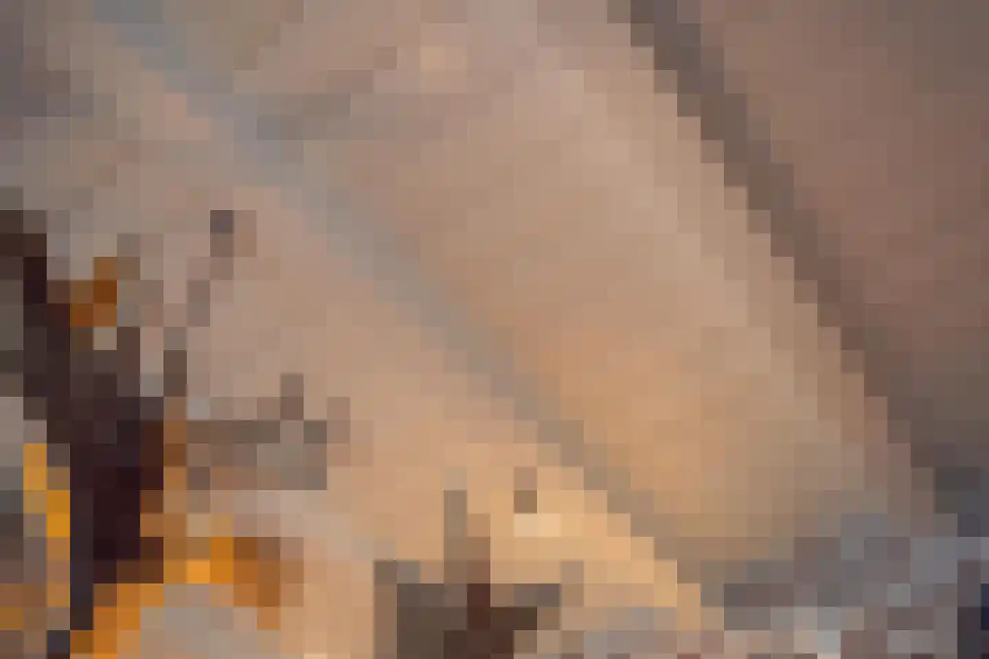Voorstraat 13 Buren thumbnail 27