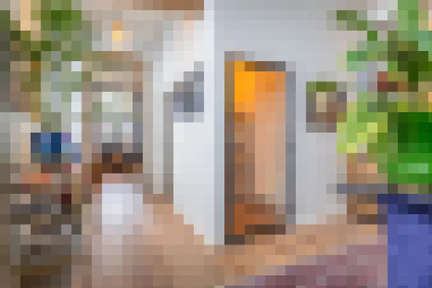 Voorstraat 13 Buren thumbnail 28