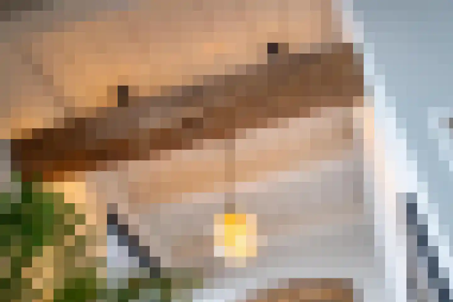 Voorstraat 13 Buren thumbnail 31
