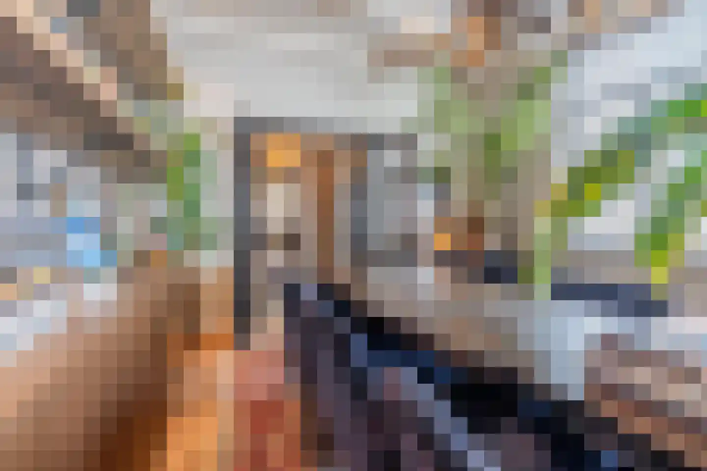 Voorstraat 13 Buren thumbnail 41