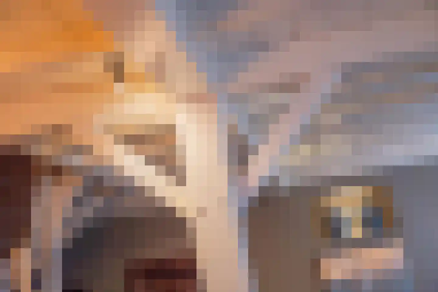 Voorstraat 13 Buren thumbnail 47