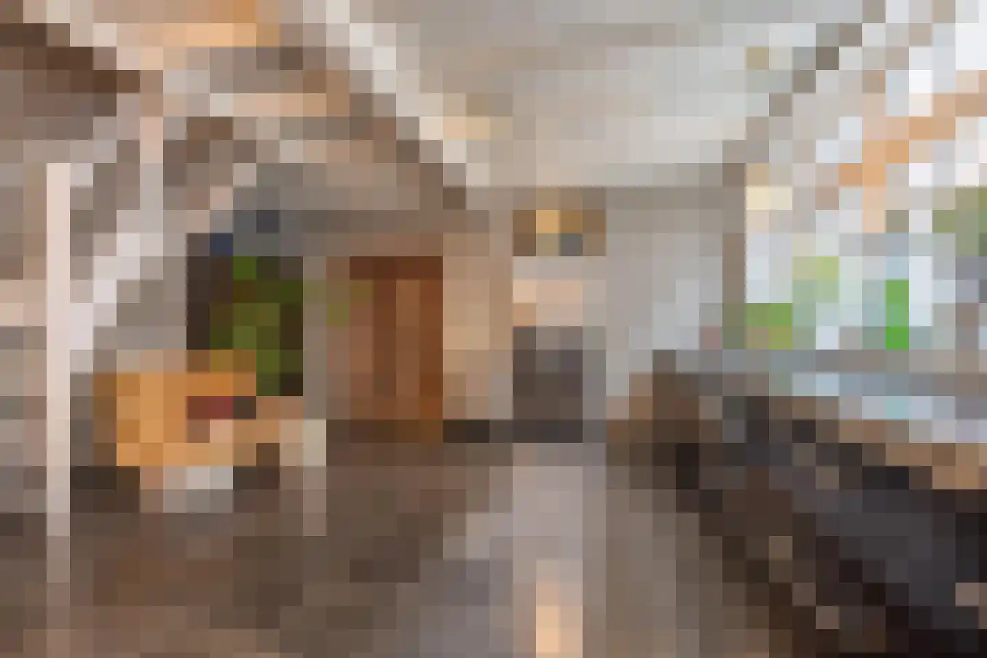 Voorstraat 13 Buren thumbnail 49
