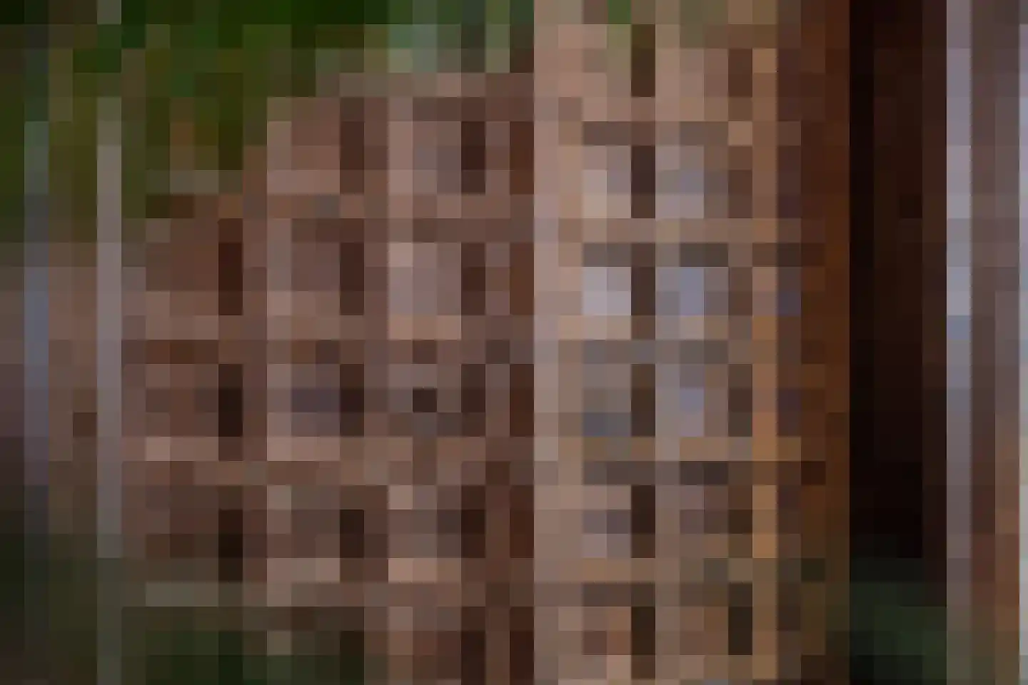Voorstraat 13 Buren thumbnail 50