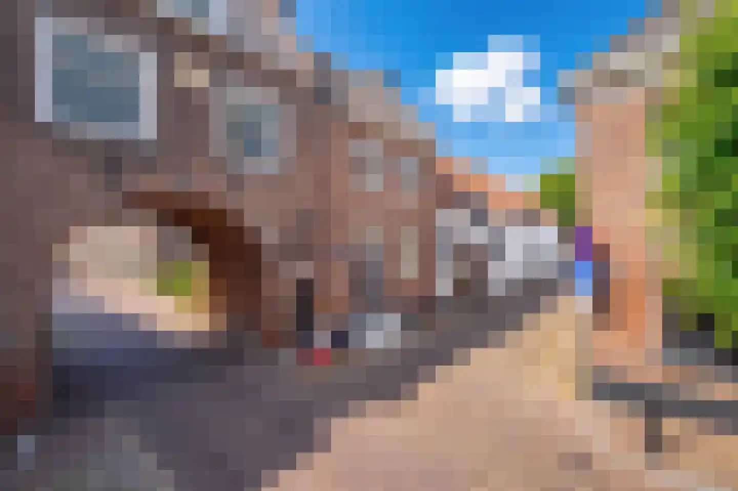 Voorstraat 13 Buren thumbnail 6
