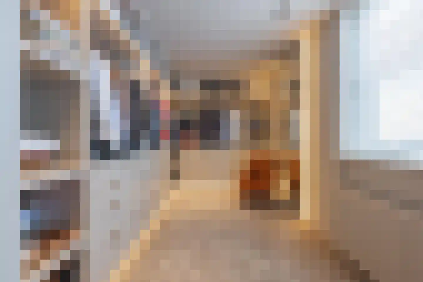 Voorstraat 13 Buren thumbnail 65