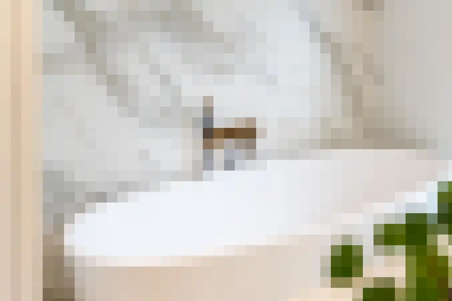 Voorstraat 13 Buren thumbnail 69