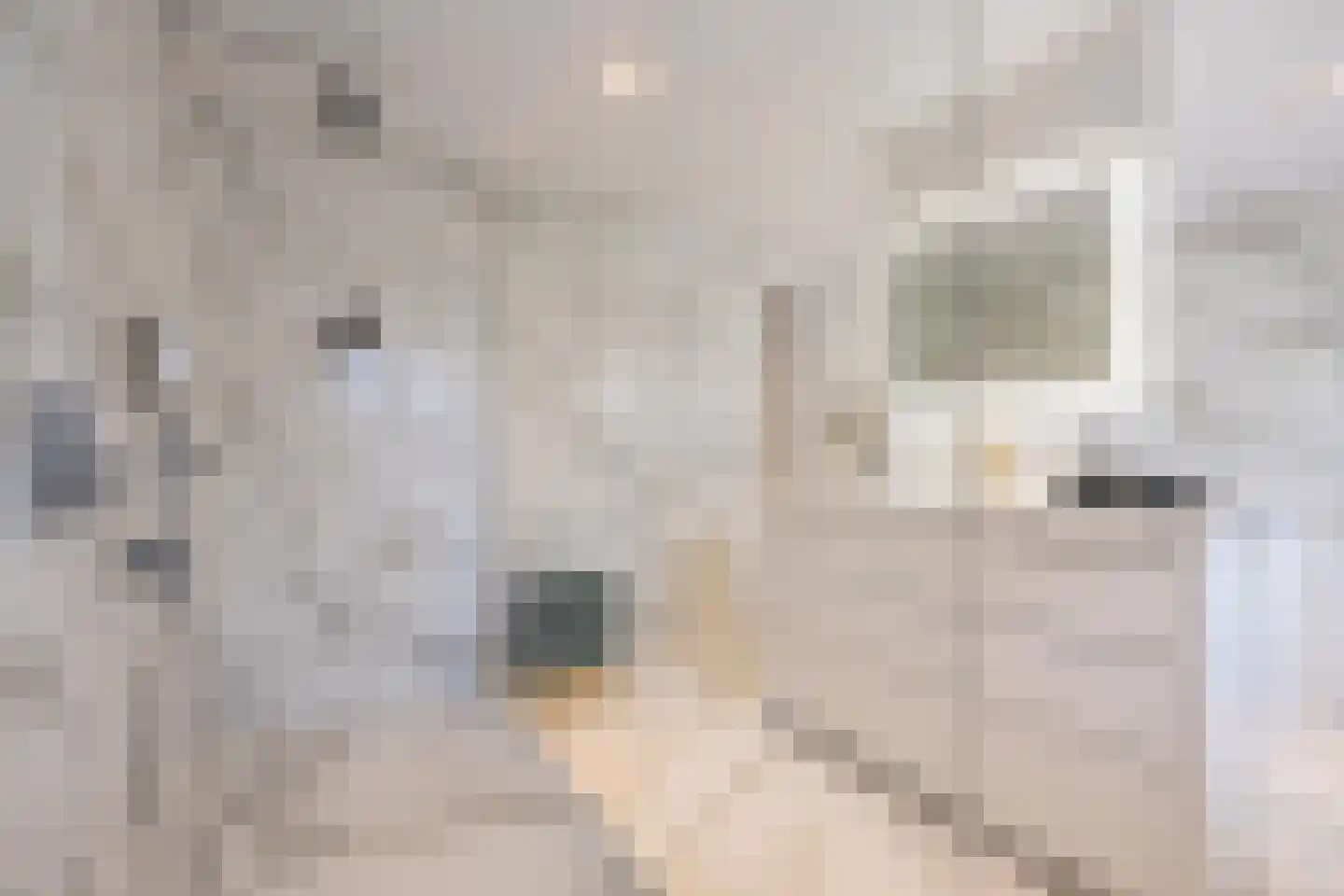 Voorstraat 13 Buren thumbnail 71