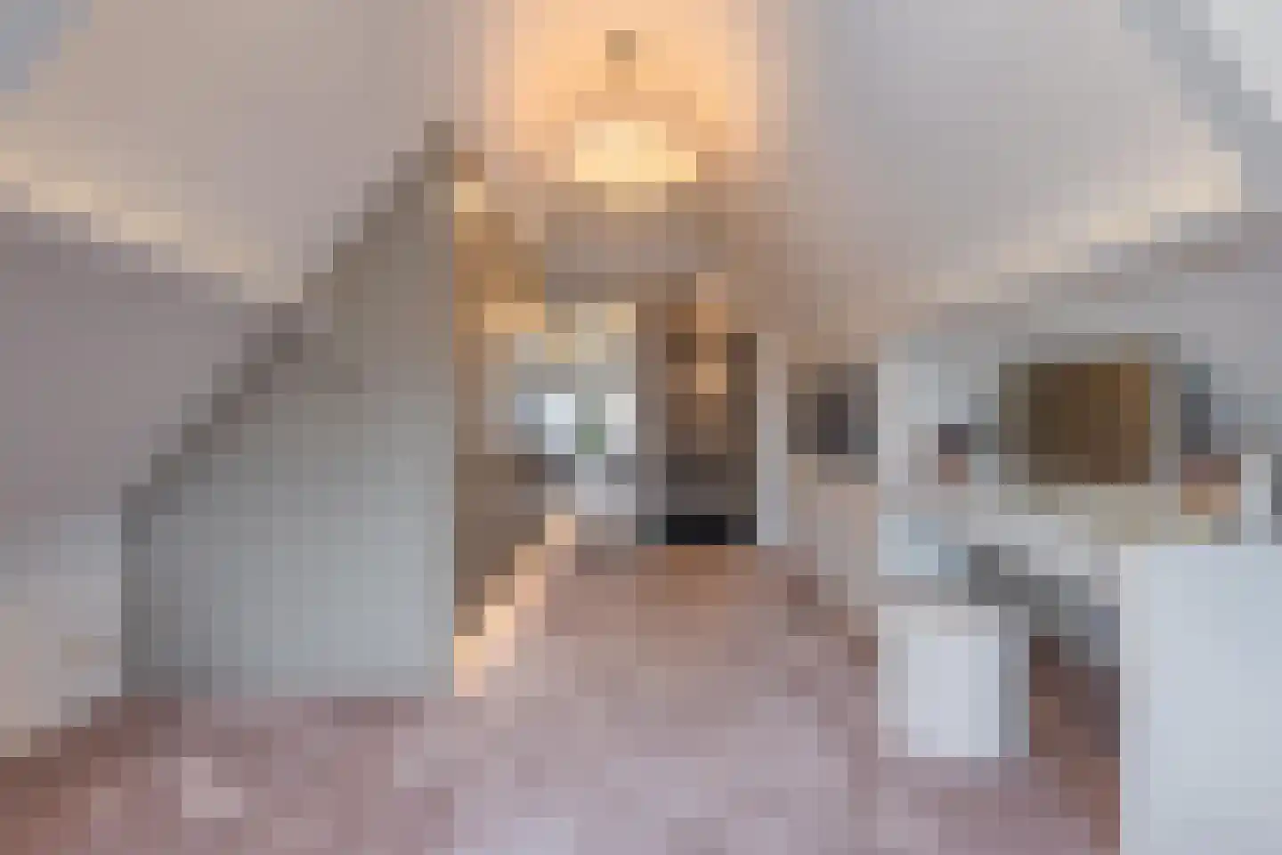 Voorstraat 13 Buren thumbnail 81