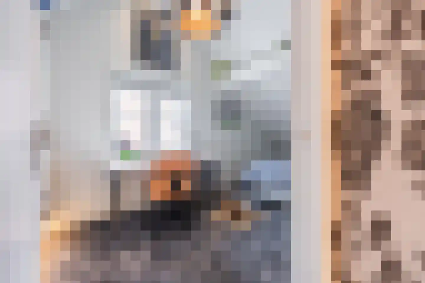 Voorstraat 13 Buren thumbnail 82