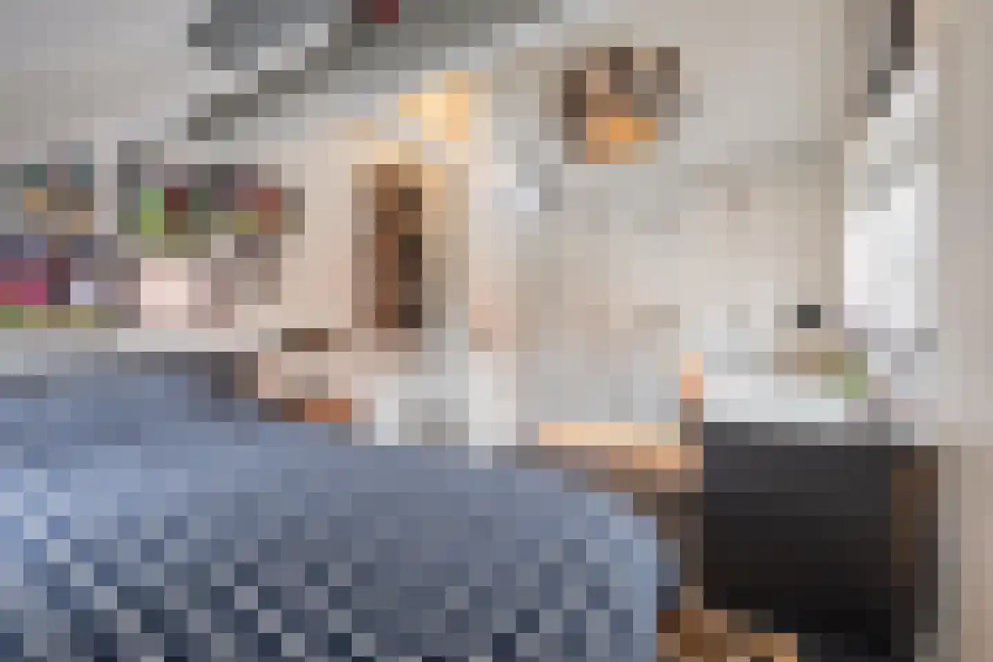 Voorstraat 13 Buren thumbnail 85
