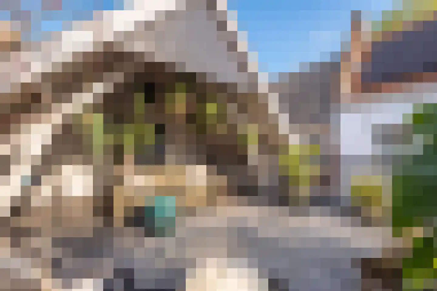 Voorstraat 13 Buren thumbnail 95