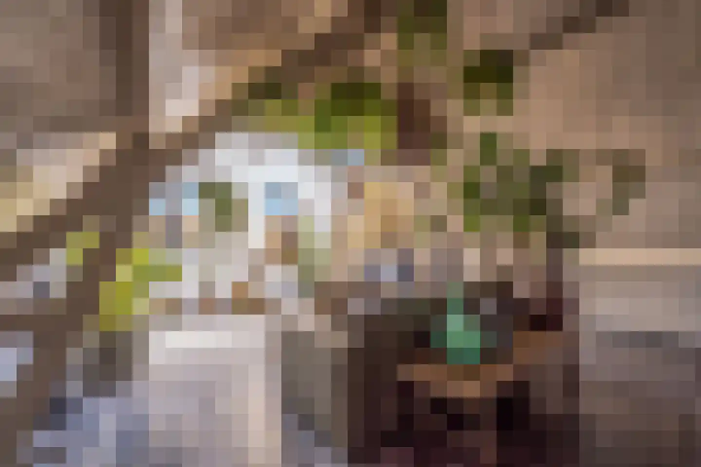 Voorstraat 13 Buren thumbnail 97