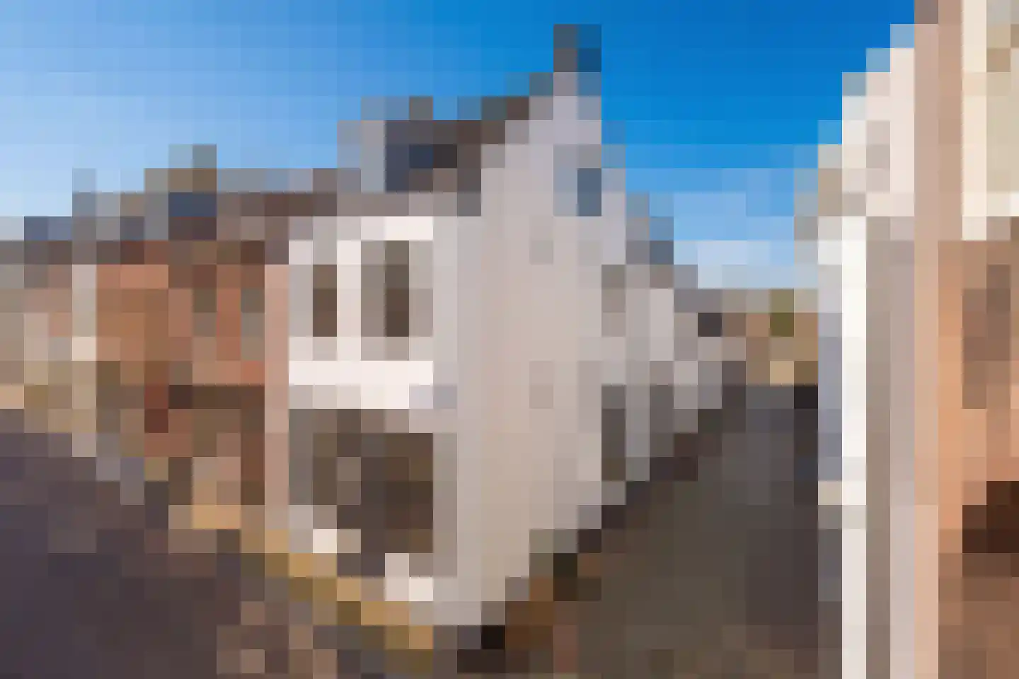Voorstraat 13 Buren thumbnail 98