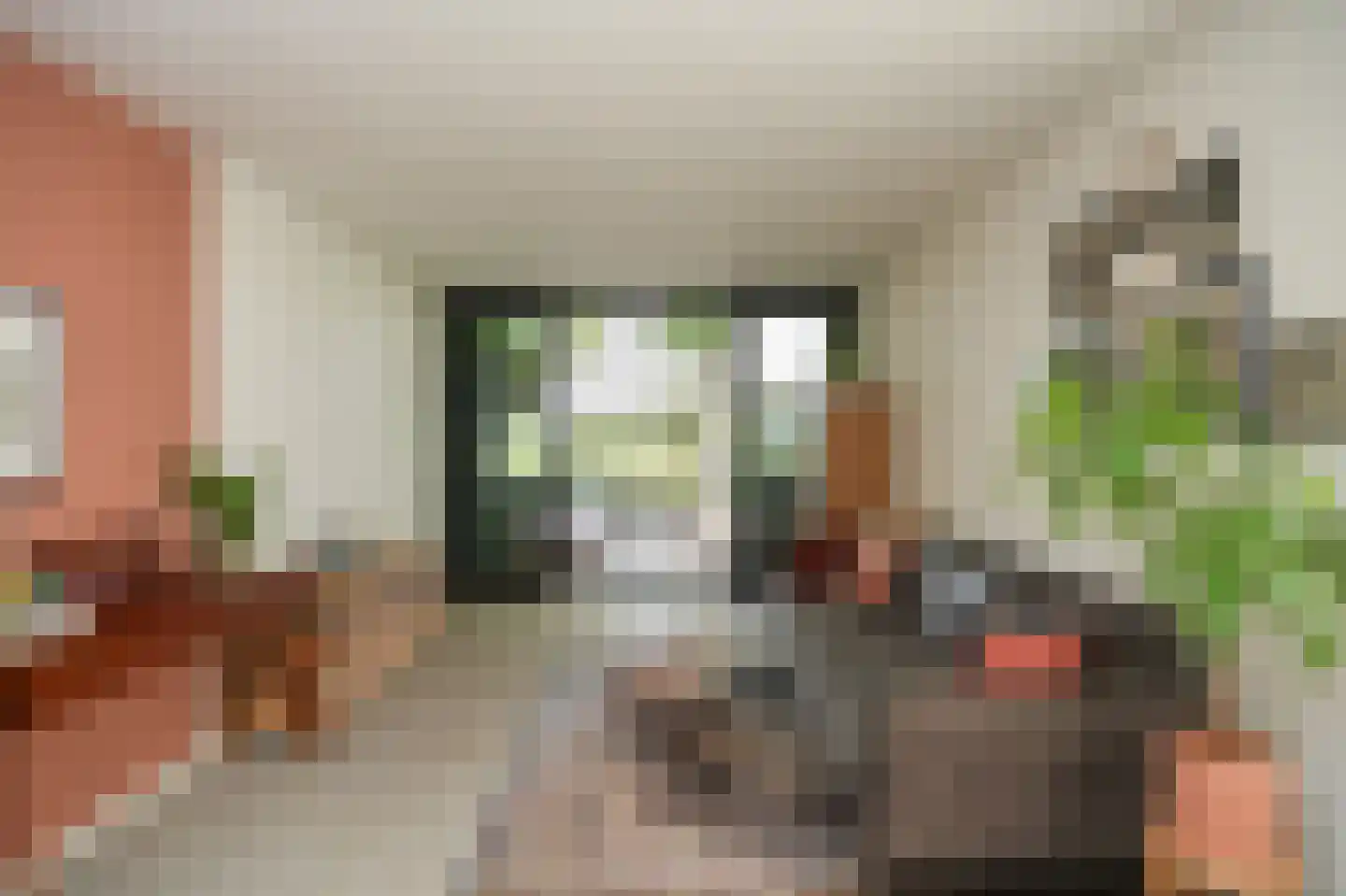 Voorstraat 13 Heukelum thumbnail 12