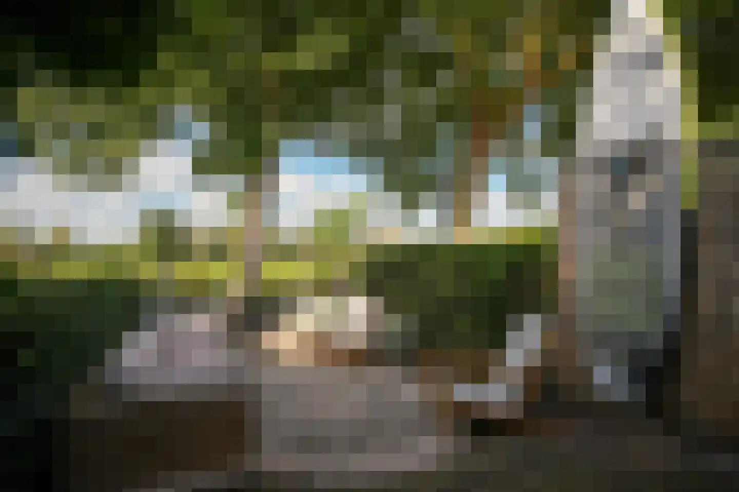 Voorstraat 13 Heukelum thumbnail 23