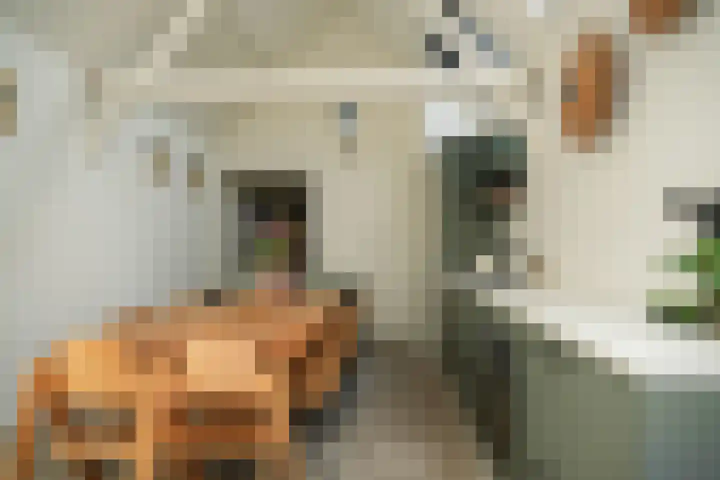 Voorstraat 13 Heukelum thumbnail 4