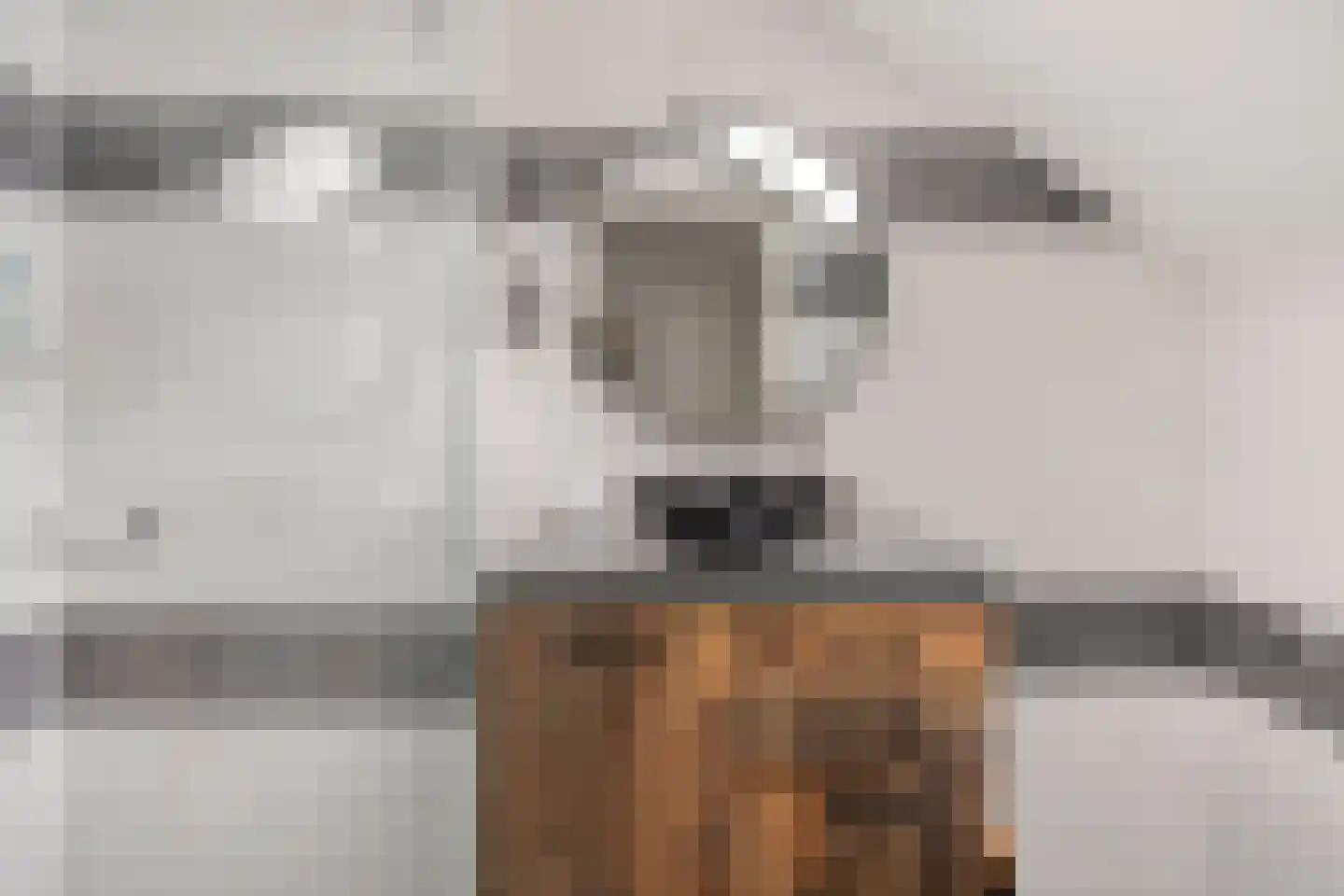 Voorstraat 13 IJsselstein thumbnail 21