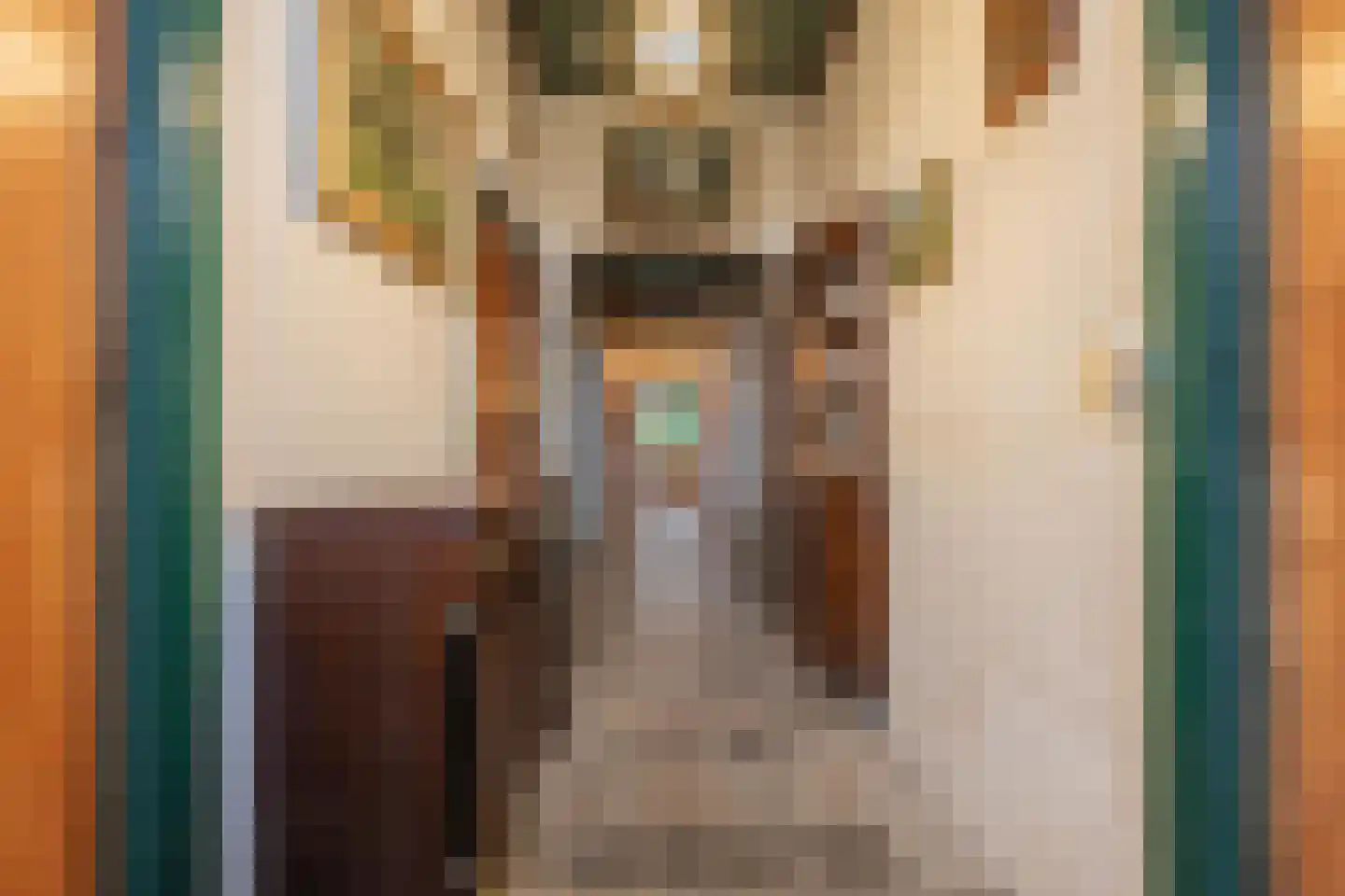 Voorstraat 13 Lienden thumbnail 19