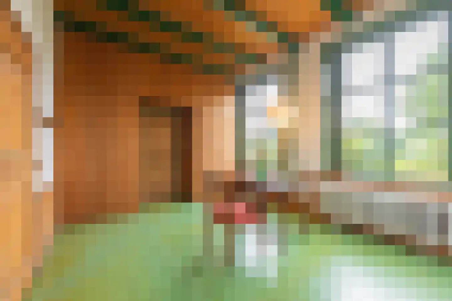 Voorstraat 13 Lienden thumbnail 24