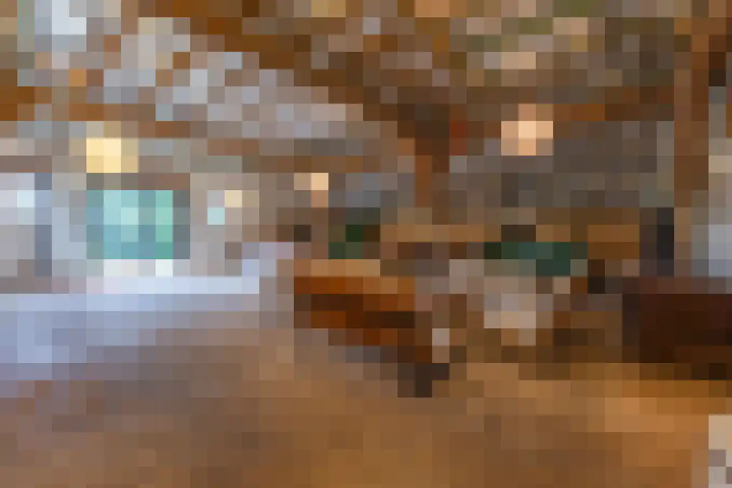 Voorstraat 13 Lienden thumbnail 38