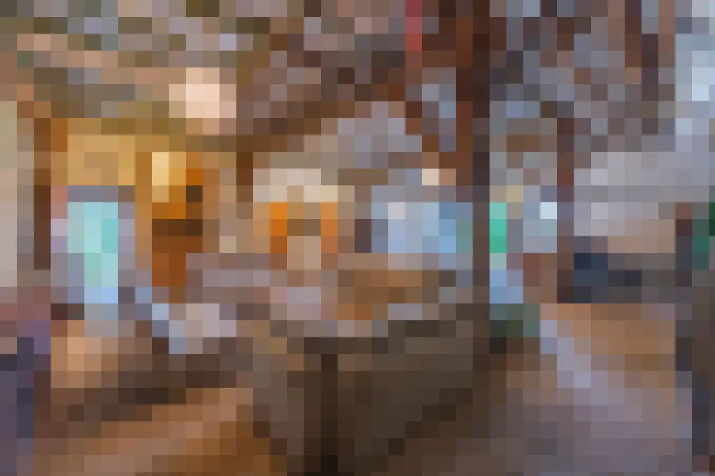 Voorstraat 13 Lienden thumbnail 39