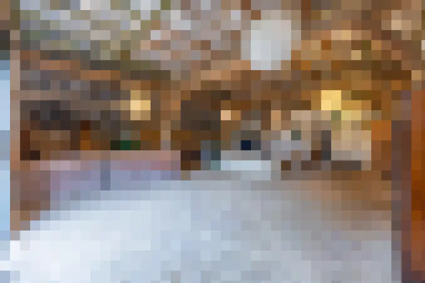 Voorstraat 13 Lienden thumbnail 41