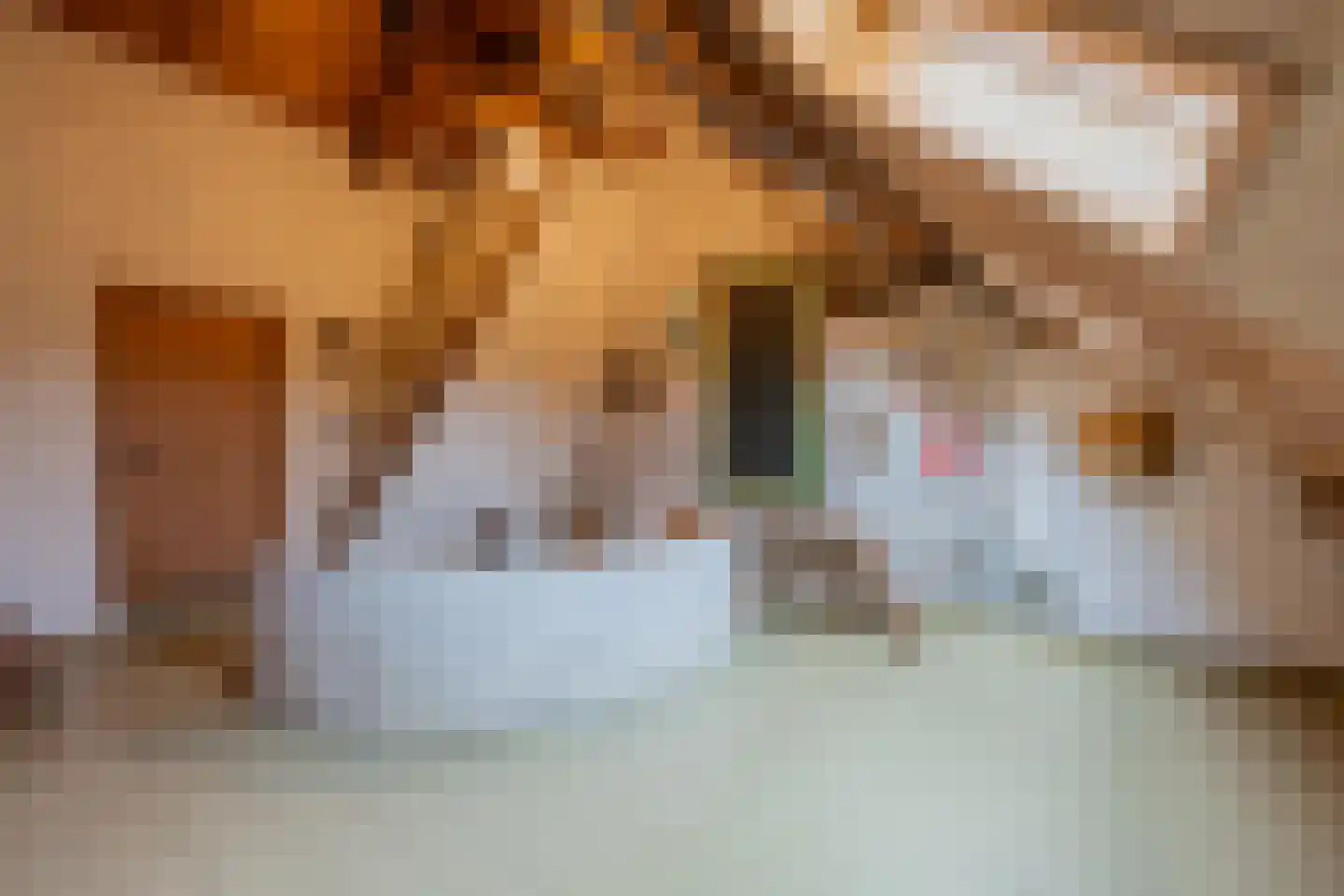 Voorstraat 13 Lienden thumbnail 51