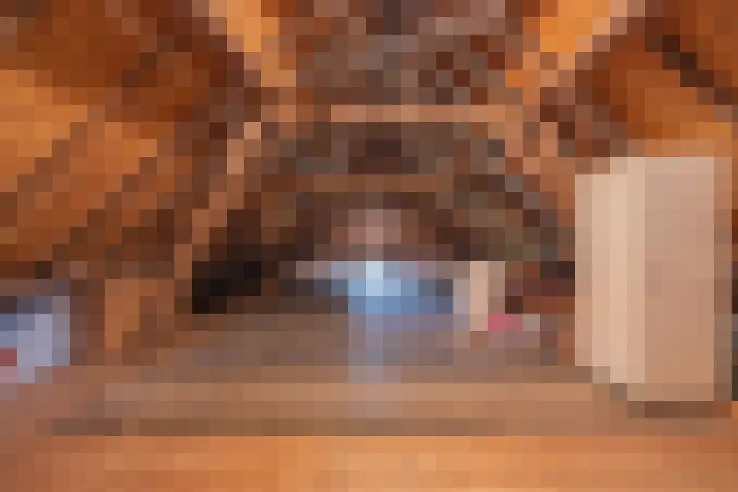 Voorstraat 13 Lienden thumbnail 62