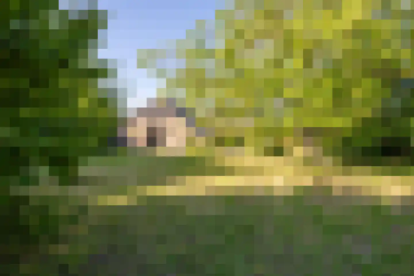 Voorstraat 13 Lienden thumbnail 77