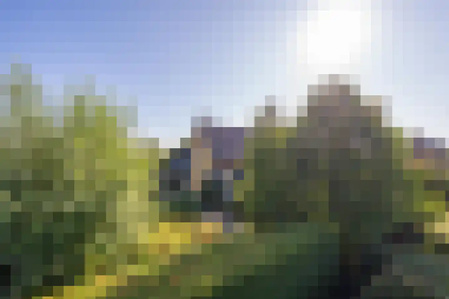 Voorstraat 13 Lienden thumbnail 8