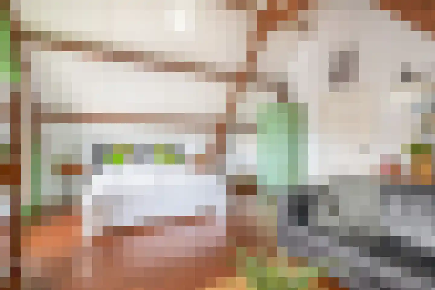 Voorstraat 13 Ooltgensplaat thumbnail 16