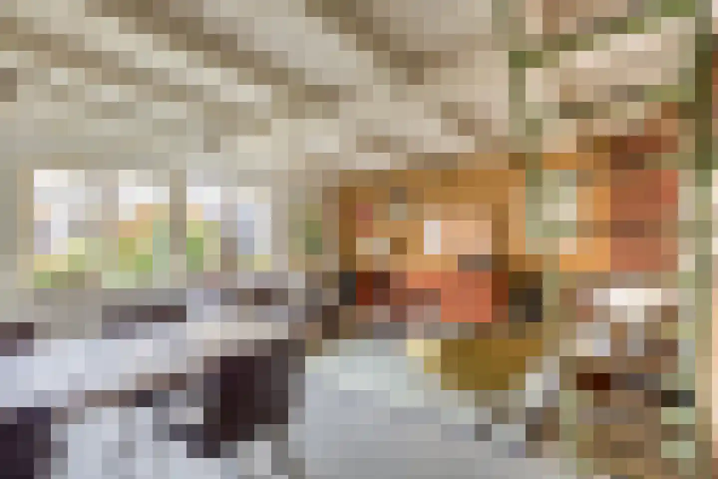 Voorstraat 13 Ooltgensplaat thumbnail 21