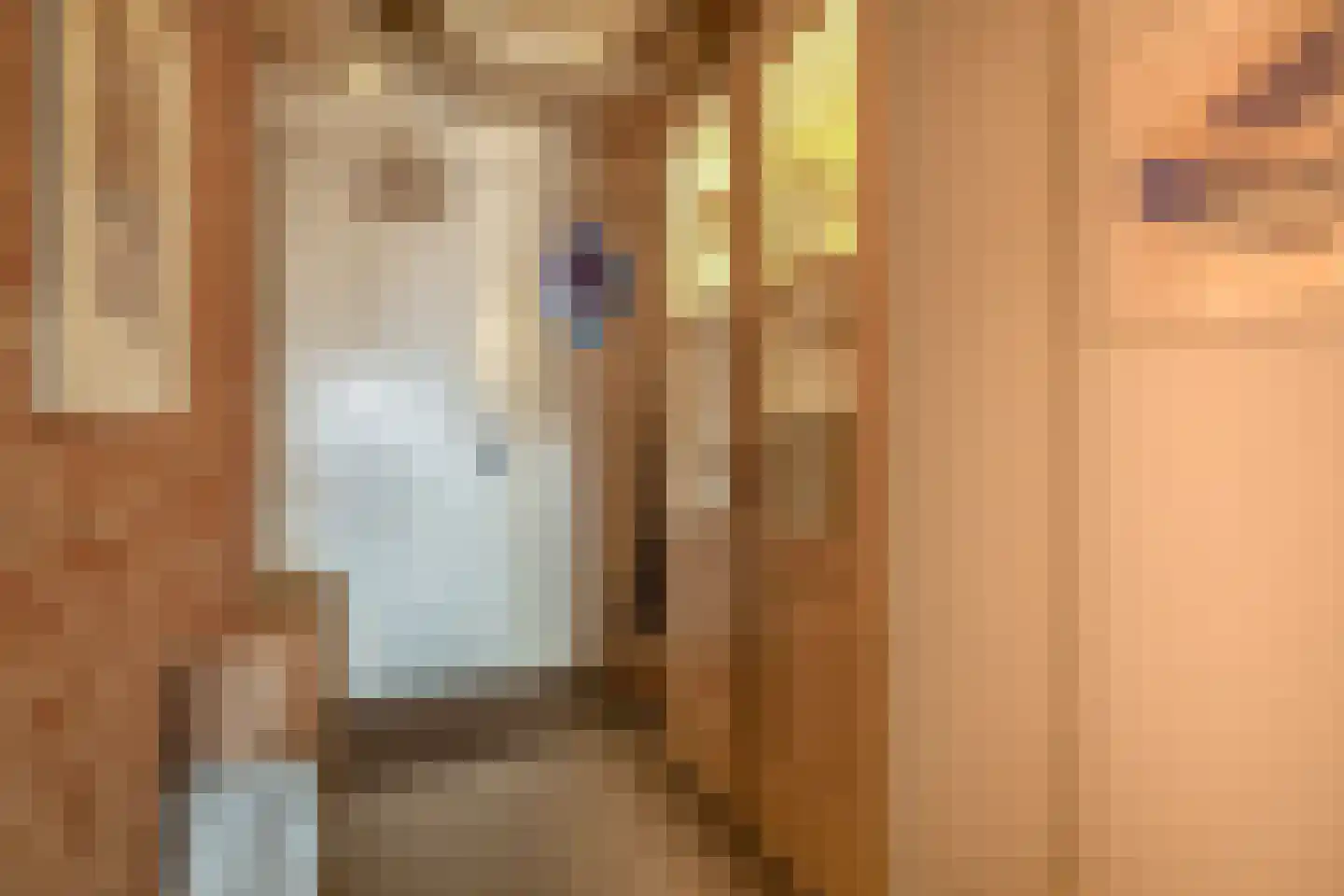 Voorstraat 13 Ooltgensplaat thumbnail 24