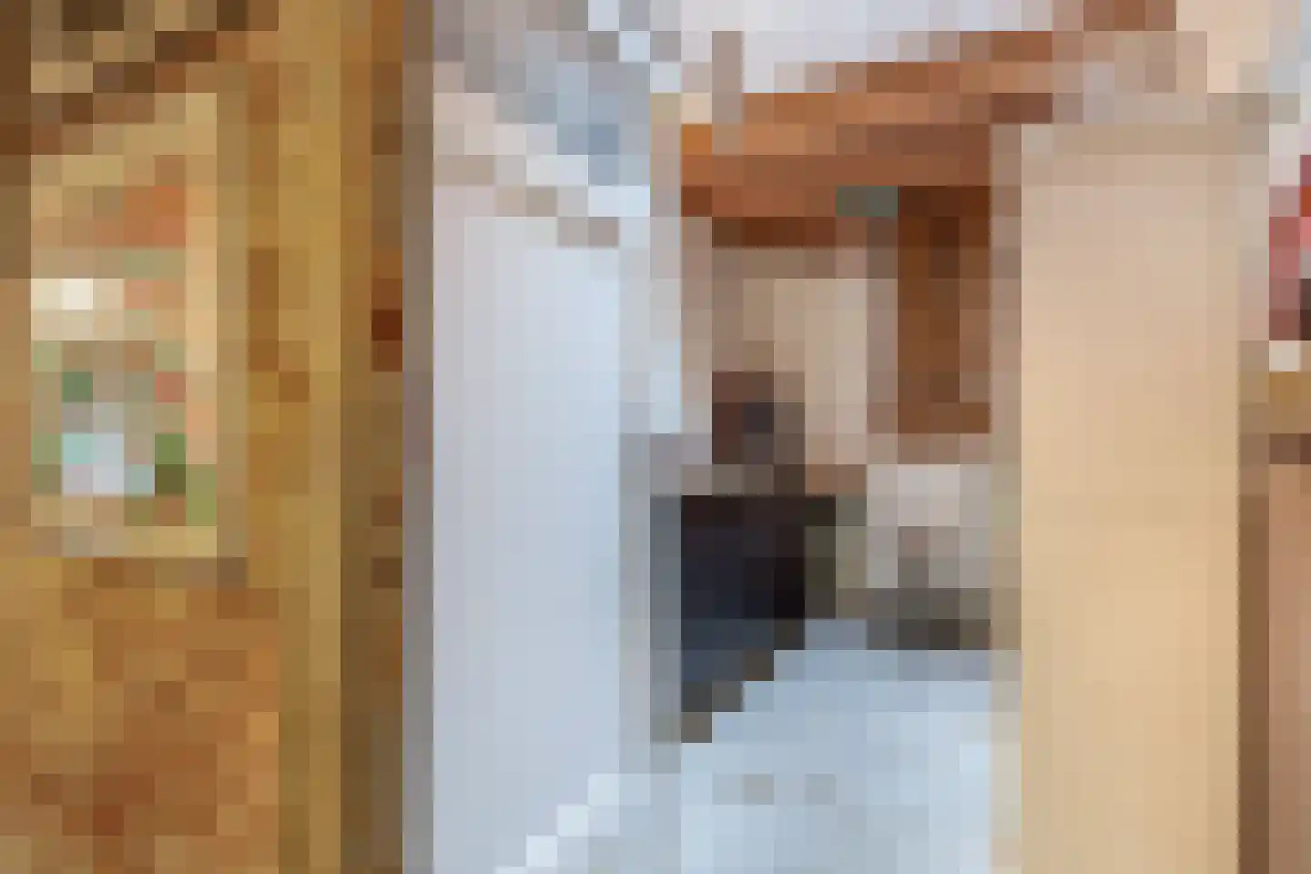 Voorstraat 13 Ooltgensplaat thumbnail 32