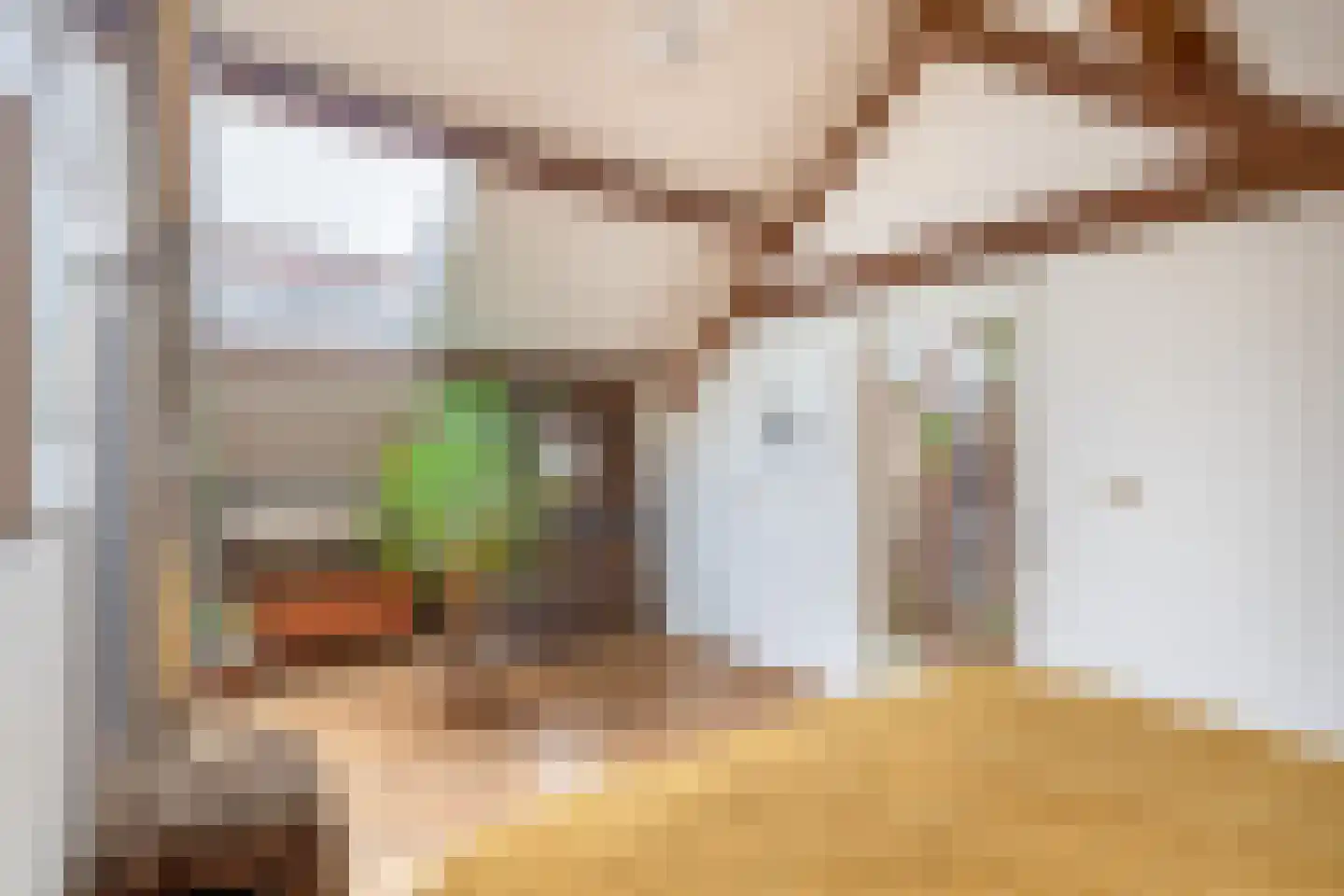 Voorstraat 13 Ooltgensplaat thumbnail 39