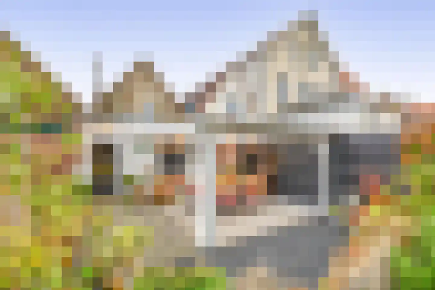 Voorstraat 13 Ooltgensplaat thumbnail 40