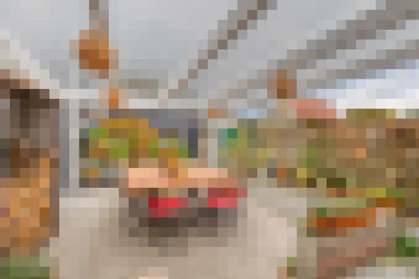 Voorstraat 13 Ooltgensplaat thumbnail 42