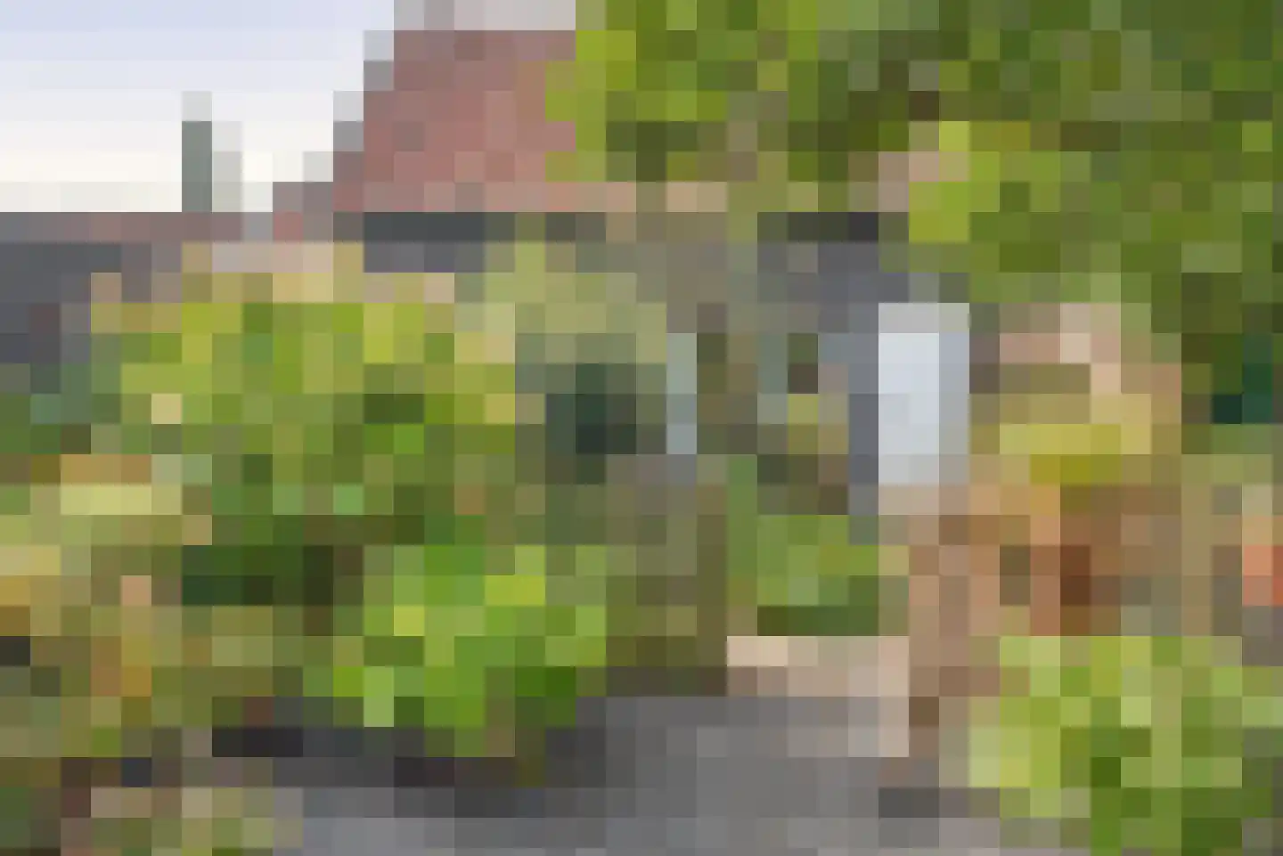 Voorstraat 13 Ooltgensplaat thumbnail 46