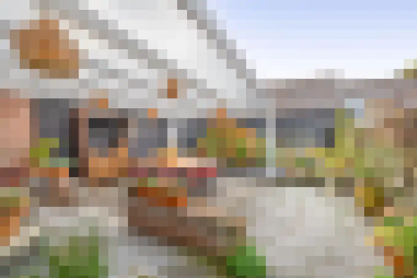 Voorstraat 13 Ooltgensplaat thumbnail 47