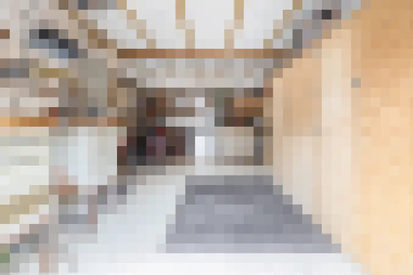 Voorstraat 13 Ooltgensplaat thumbnail 48