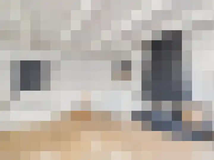 Voorstraat 13 Oud-Vossemeer thumbnail 12