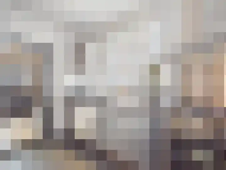 Voorstraat 13 Oud-Vossemeer thumbnail 20