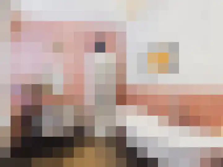 Voorstraat 13 Oud-Vossemeer thumbnail 4